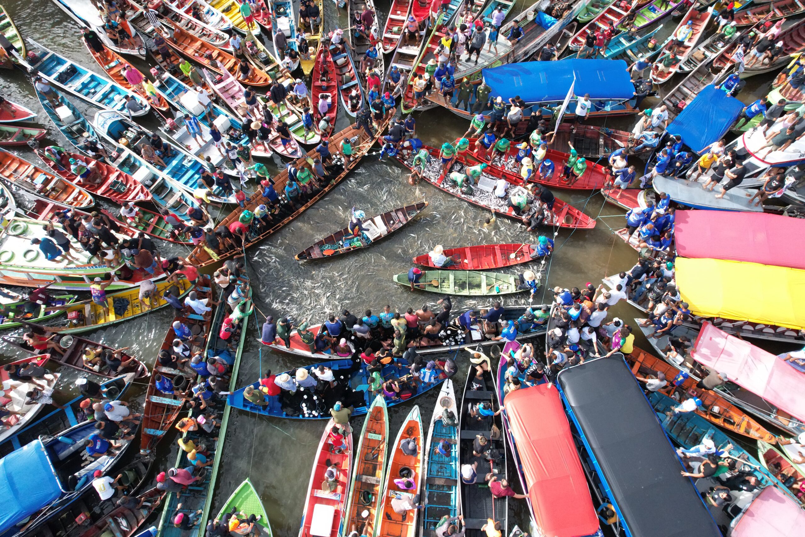 Comunidades ribeirinhas celebram reabertura da pesca do mapará no Pará