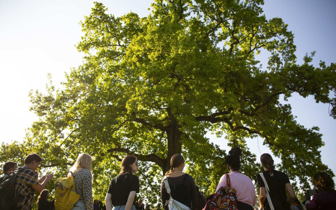 Idealizadores do People For Forests se reúnem em abril para definir agenda global do evento