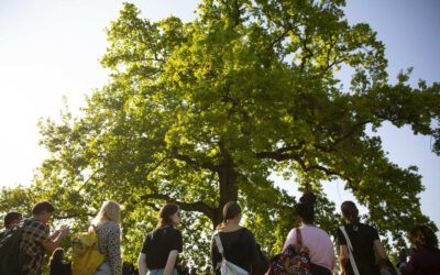 Idealizadores do People For Forests se reúnem em abril para definir agenda global do evento
