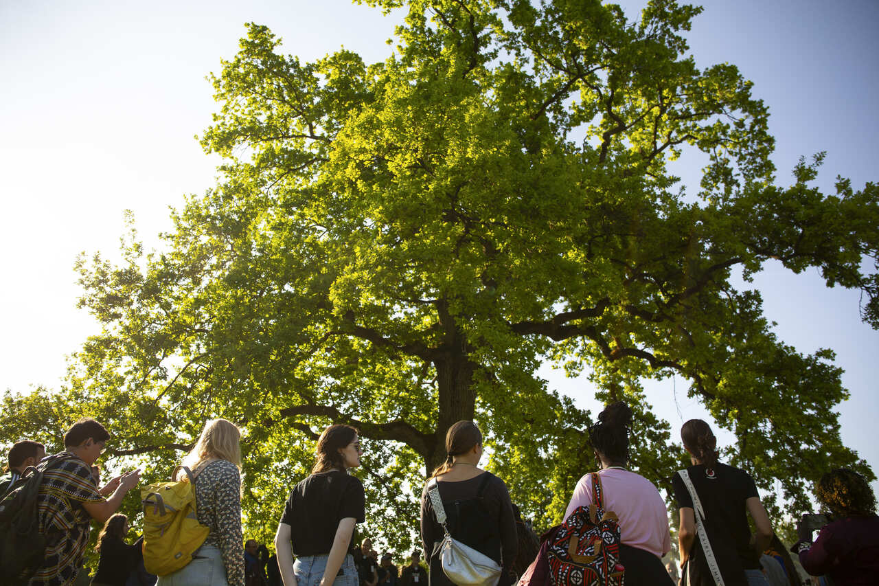 Idealizadores do People For Forests se reúnem em abril para definir agenda global do evento
